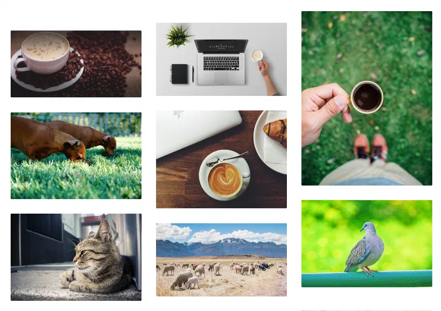 Best Free Stock Image and Royalty Free Photography Sites in 2024